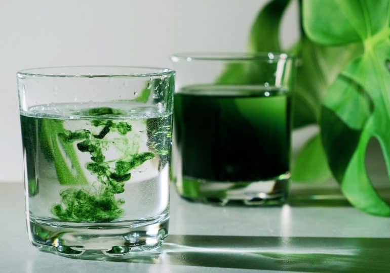 Drinking chlorophyll - why do most currently incorporate it into their health rituals?